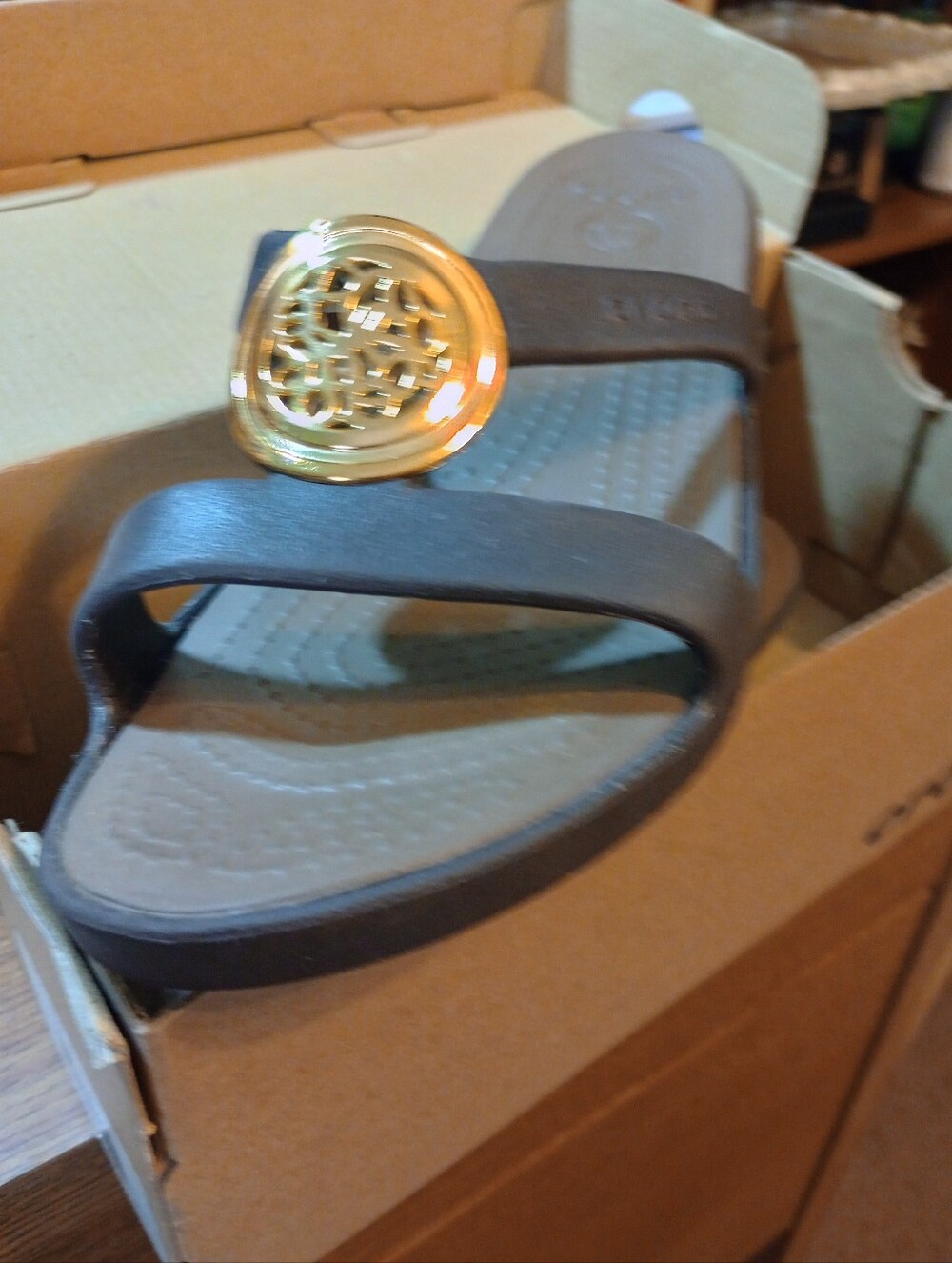 Gold Medallion Brown Slide Sandal